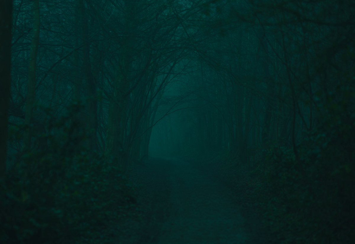 I like to walk around foggy places