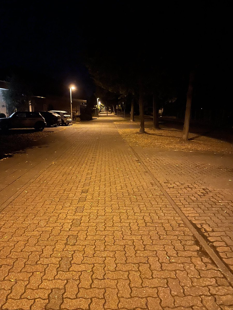 late night walks >>>