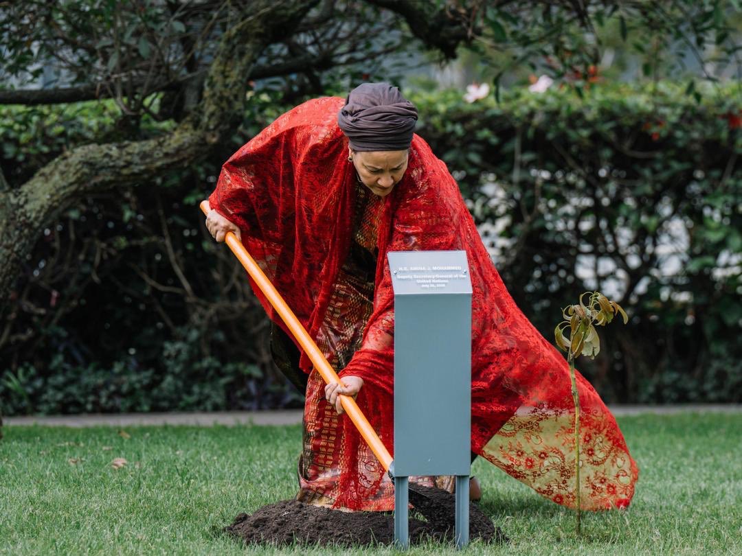 mats56455's tweet image. THE TRAGEDY OF EMPTY DIPLOMACY:
Amina Mohammed in Addis While Nigeria Starves
Today, UN Deputy Secretary-General @AminaJMohammed stood in Addis Ababa preaching food security and agricultural productivity.
But she hails from Nigeria—a country where:
•Fulani herdsmen are…