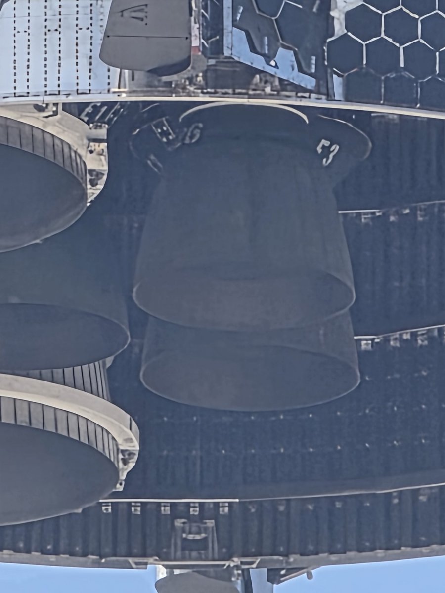 HardcoreElectr1's tweet image. &quot;Raptor Roost&quot;?  @RaptorRoostTX
