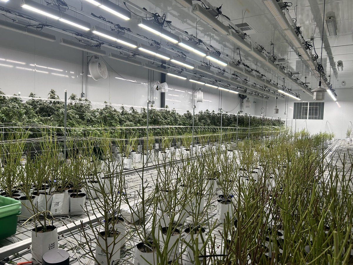 Harvest day last week.