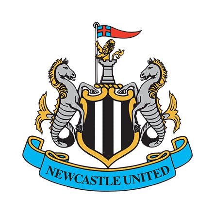 Mercado_Ingles's tweet image. 🚨🇷🇸 Newcastle confirma su interés por el delantero Serbio, jugador del Al Hilal, Aleksandar Mitrovic (30). [Caught Offside]