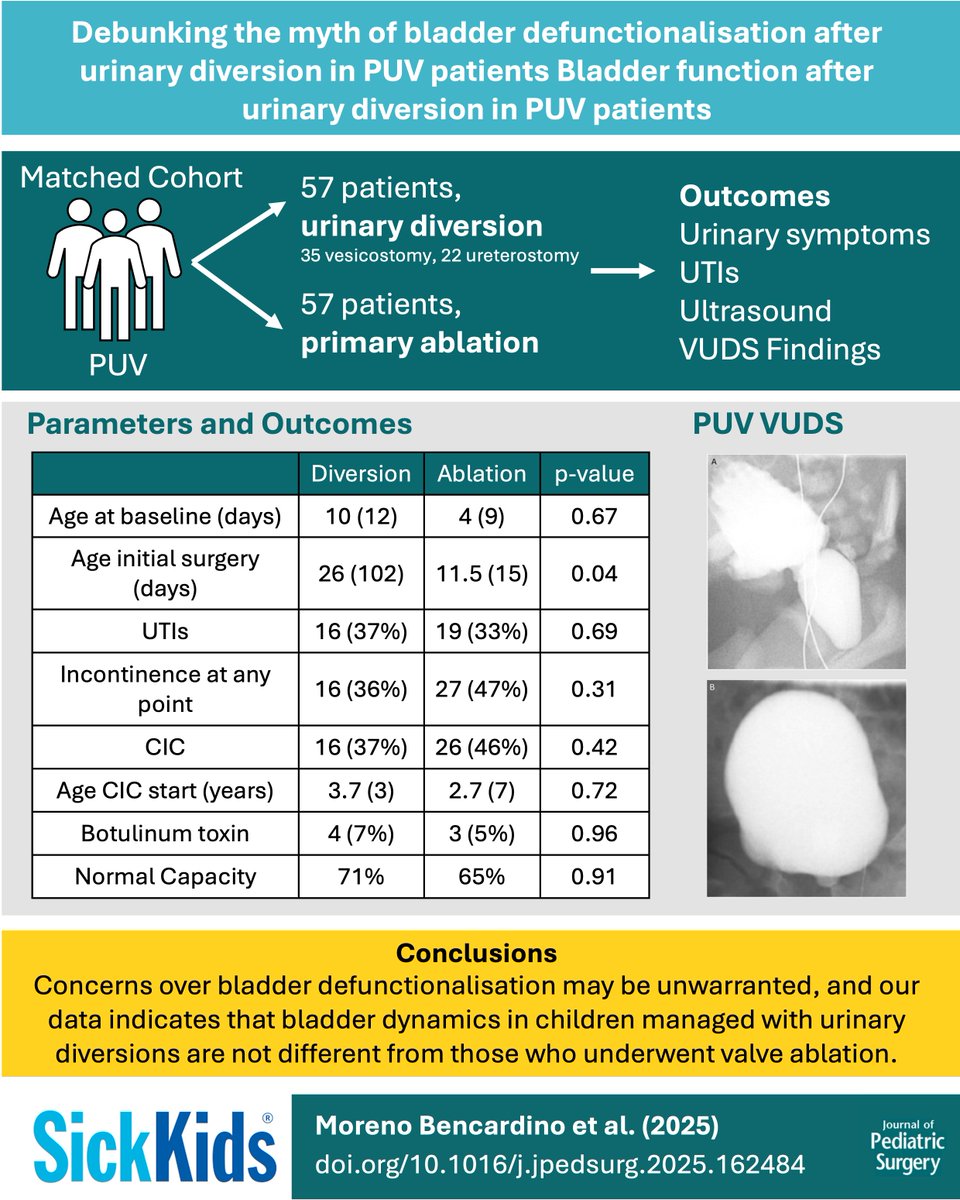 Our new paper in <a href="/jpedsurg/">jpedsurg</a> challenges current beliefs that urinary diversion commits to patients to poor bladder outcomes in PUV, read more: doi.org/10.1016/j.jped…

Great work <a href="/Cami_moreno93/">Camila Moreno</a> <a href="/kayriveramd/">Kay Rivera</a> <a href="/MandyRickardNP/">Mandy</a> <a href="/JoanaRosaP/">Joana Dos Santos</a> <a href="/AdreeKhondker/">Adree Khondker</a> !