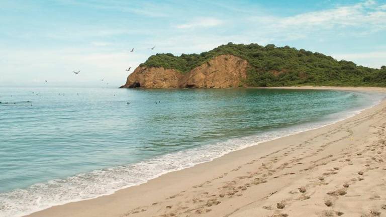 radiosondemanta's tweet image. ¡FRAILES ES LA MEJOR PLAYA DEL PACÍFICO!

Según el ranking de CIF Playas y Proplayas, la playa de Los Frailes de Manabí fue considerada como el mejor balneario del Océano Pacífico. 

Dentro de este ranking, fueron evaluadas más de 200 playas. Pero, lo que le permitió a Los…
