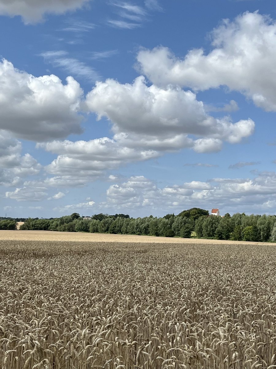 kynohy's tweet image. Lovely clouds
