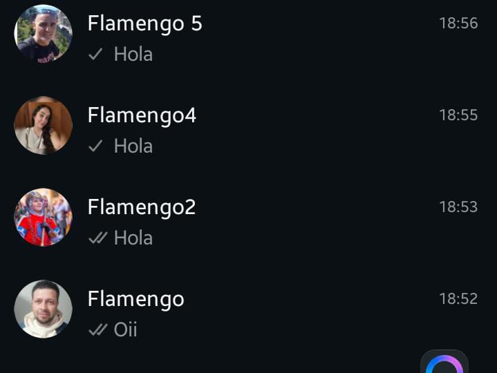 eu que fui tão iludido que tentei colocar todos os últimos dígitos de 0 a 9 naquele número que o Flamengo postou pela metade… 🤡
Sim, fiquei lá testando como se fosse missão secreta da NASA achando que ia falar com alguém.
Spoiler: ninguém respondeu. Nem um “Oi, errou”.#Flamengo