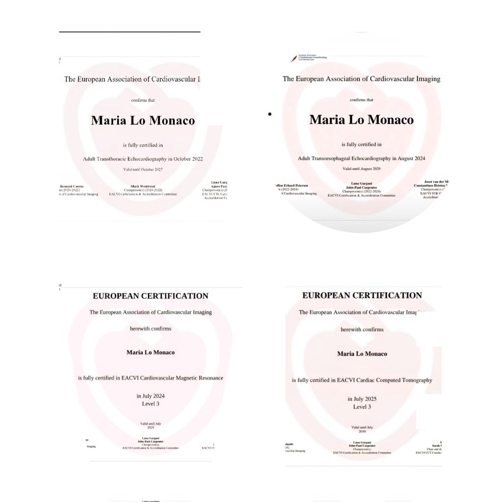 mari_lomonaco93's tweet image. #Multimodalityimaging #stepbystep 🫀