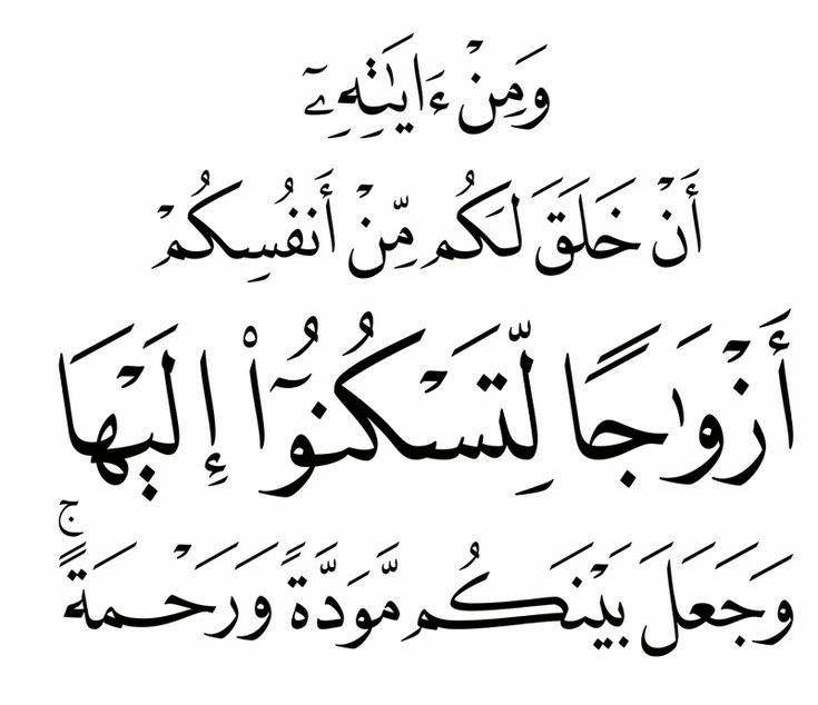 mehbaraworld1's tweet image. البَيت سَكنٌ لِلبَدن،
و الزّوجة سَكنٌ لِلنّفس ؛
فلا يوجد سكن لِحَيَاةِ الإنسان إلاّ مع زوجته.!!
🥀