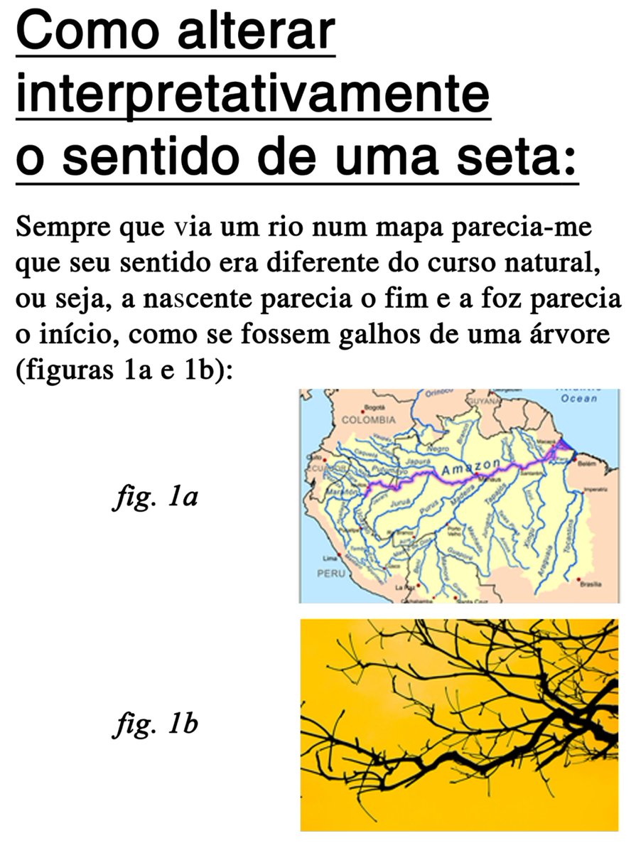 _joao~grando 🐅🌻𓄇 tweet media