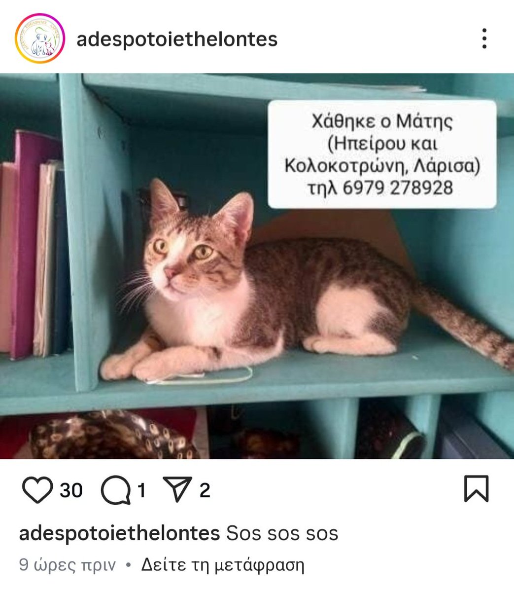 🆘️🆘️ ΧΑΘΗΚΕ ΣΤΗ ΛΑΡΙΣΑ 🆘️🆘️