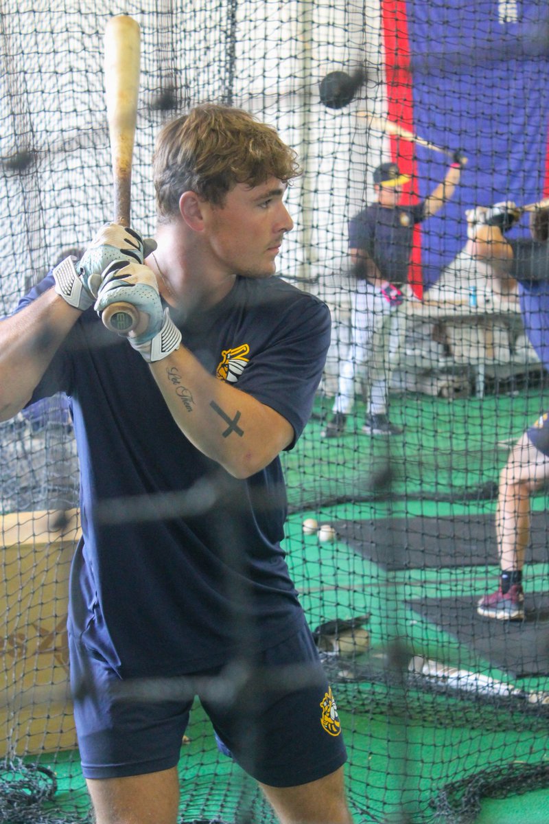 BurlingtonBees's tweet image. Bluey couldn't make it to batting practice, but we promise he will be at the game!
