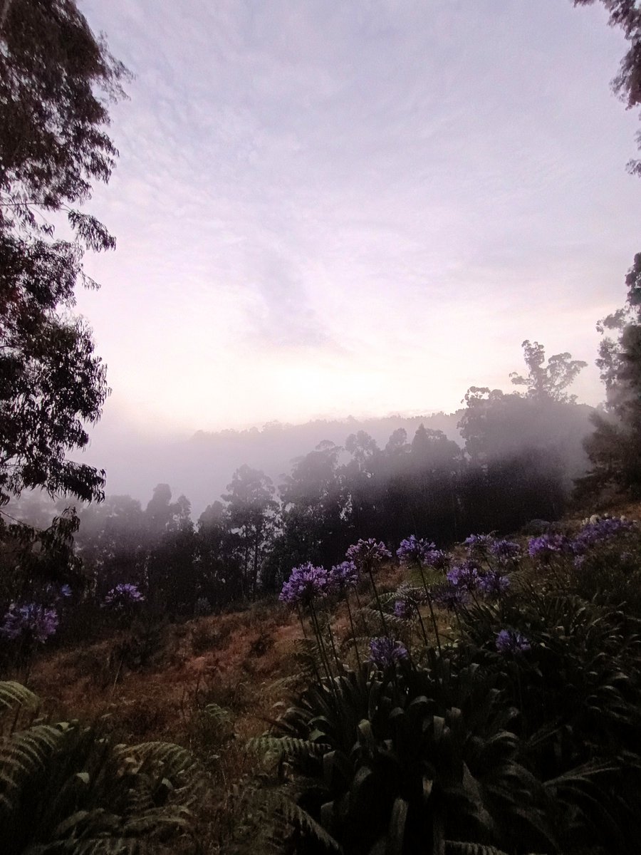 I remember the first time I walked this trail. I wanted to wash my face in the stream, and as I leaned down, a dead rabbit floated by in the water. 
"Follow the white rabbit" they say. I did, and it led me to build a place called the House of Alice. 

I've walked this trail for