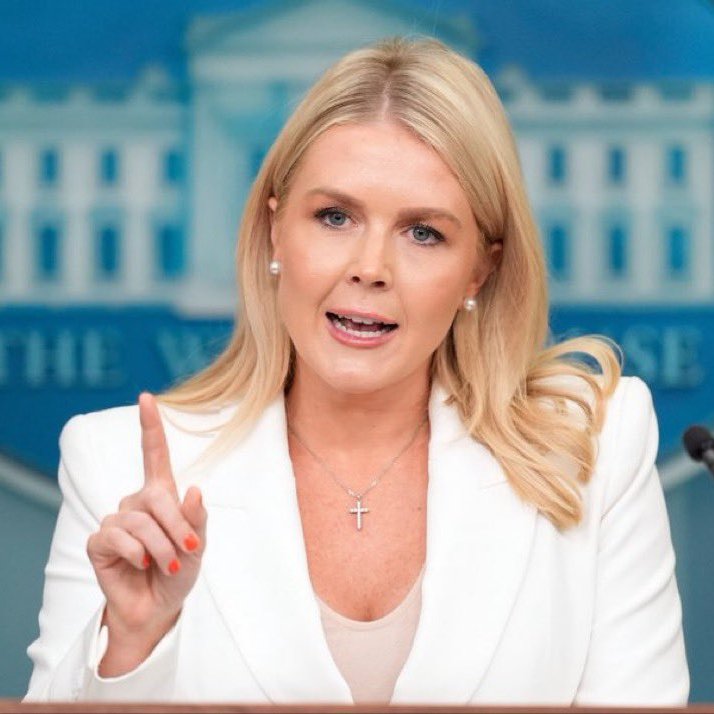 ✝️Quick Poll ❕

Should Karoline Leavitt continue wearing her cross in public ❔