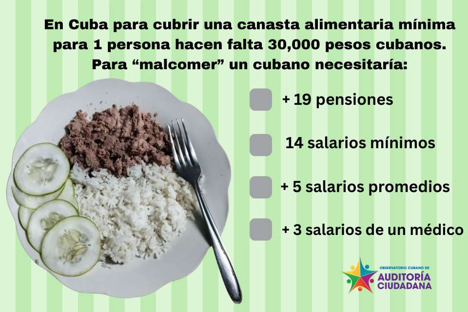 cubasiglo21's tweet image. En #Cuba un trabajador o jubilado necesita entre 14 y 19 salarios mínimos para malcomer un mes.
#DossierCuba21
cubasiglo21.com/sin-campo-no-h…