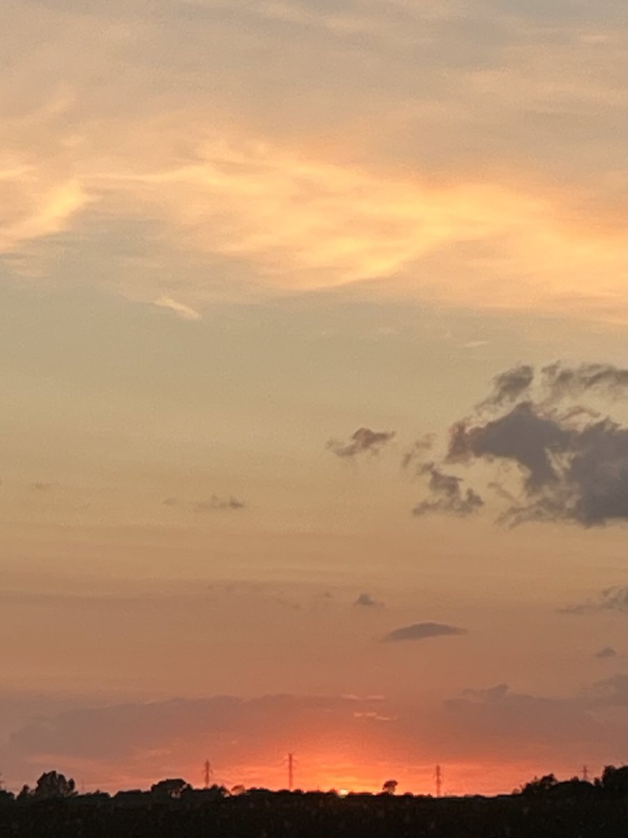 kynohy's tweet image. At 21:20