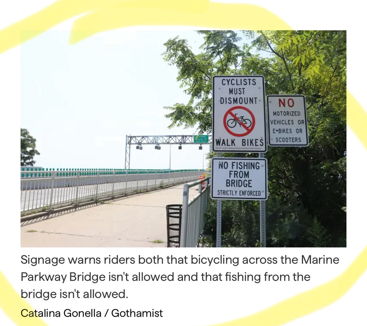 DeborahGeorgeF3's tweet image. Bicyclists keep getting hurt riding into mystery string on Marine Parkway Bridge - gothamist.com/news/bicyclist…
Cyclist are FORBIDDEN TO RIDE BIKES ACROSS THE BRIDGE - dismount & walk, rules don’t apply to them & there is no enforcement or consequences for not following the rules.