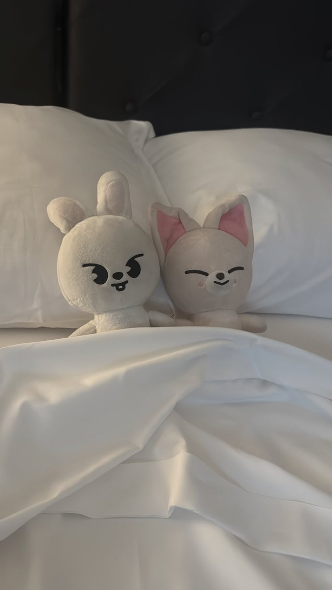 leeekknow's tweet image. leebit and foxinnie are vibing