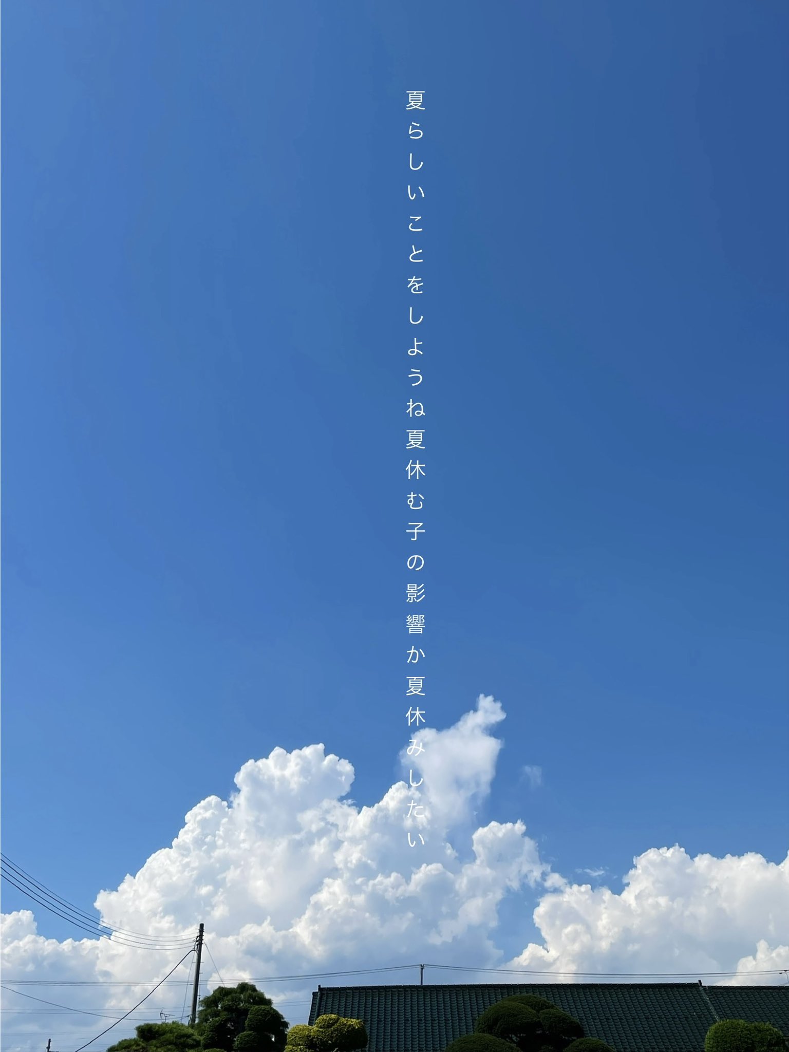 GOTOGIN　空よ雲よ＃アコウ樹ささやく秋麗と波止場の詩 しまいく on X: 