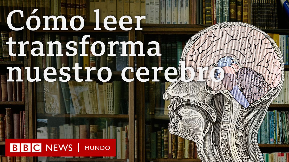 El cerebro humano no nació para leer. 🧠 Pero al hacerlo, desarrollamos circuitos que cambiaron nuestra forma de pensar, sentir y comunicarnos.¿Cómo se transforma el cerebro al leer? <a href="/gonzalo_cabus/">Gonzalo Cañada</a> te lo cuenta en este video. 👉 bbc.in/45pAY5a