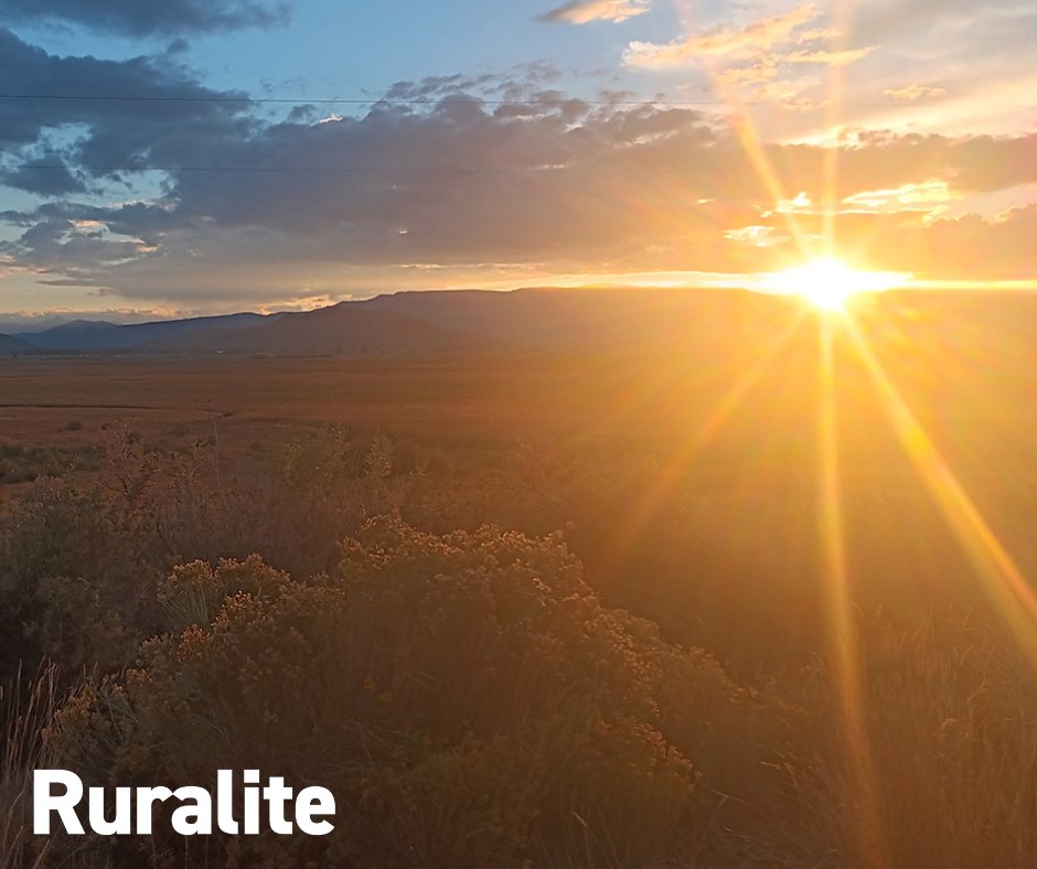 Hunting season isn’t just a time to bag game. Many hunters find comfort in being in the middle of nature on a cool, crisp morning. Take in the beauty of this capture and submit your photo: ruralite.com/crisp-morning-….