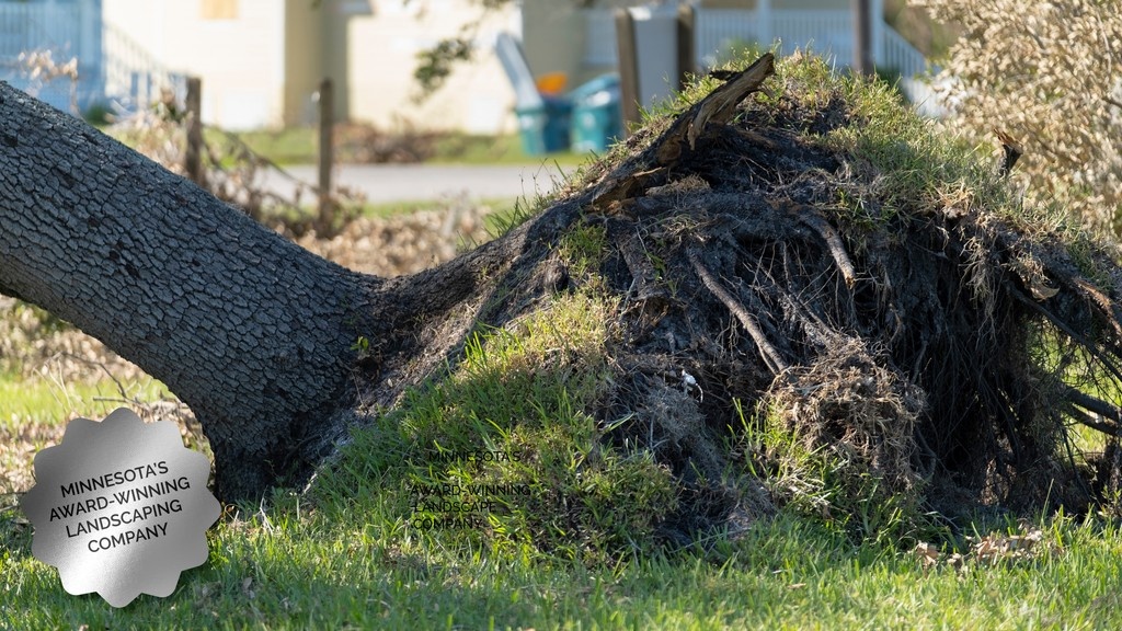 Fallen trees? Damaged landscaping?

If the storm changed your yard, we’re here to bring it back—with thoughtful design and fresh planting.

Call Custom One Landscaping at 651-459-1972.

l8r.it/SWiM