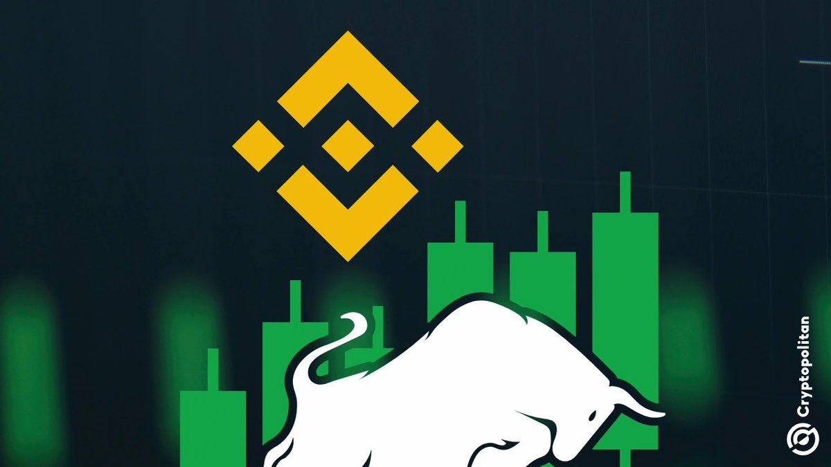 LionTV tweet media