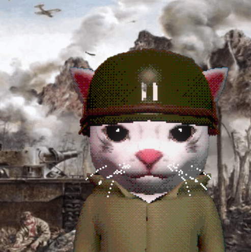 dolloallin's tweet image. mood of the trenches today

protect $dollo