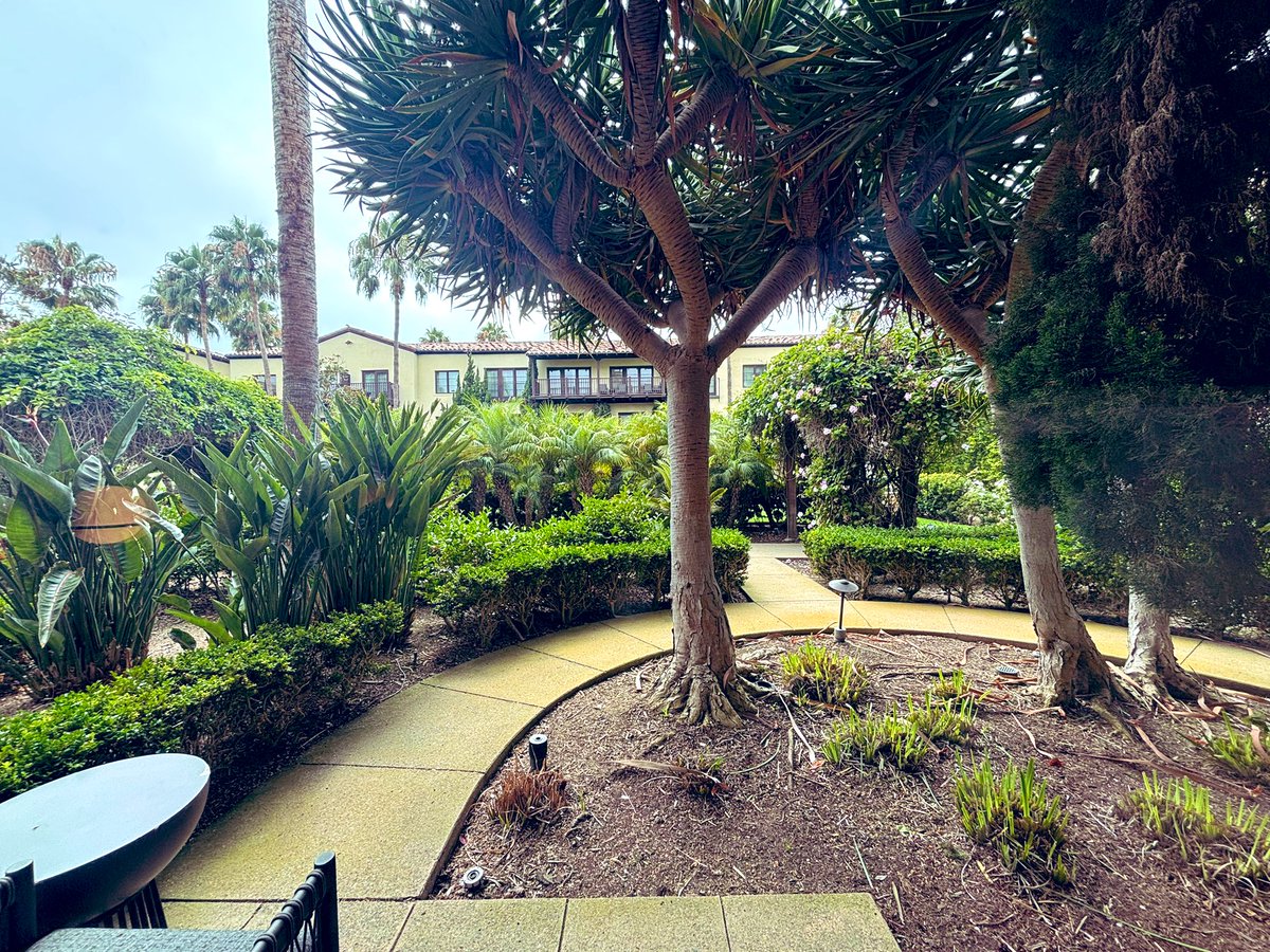 Yael_David__'s tweet image. Made it to San Diego!
Looking forward to an exciting #MechModels2025 meeting @salkinstitute !!!
And the view from the room is not bad either 🤩