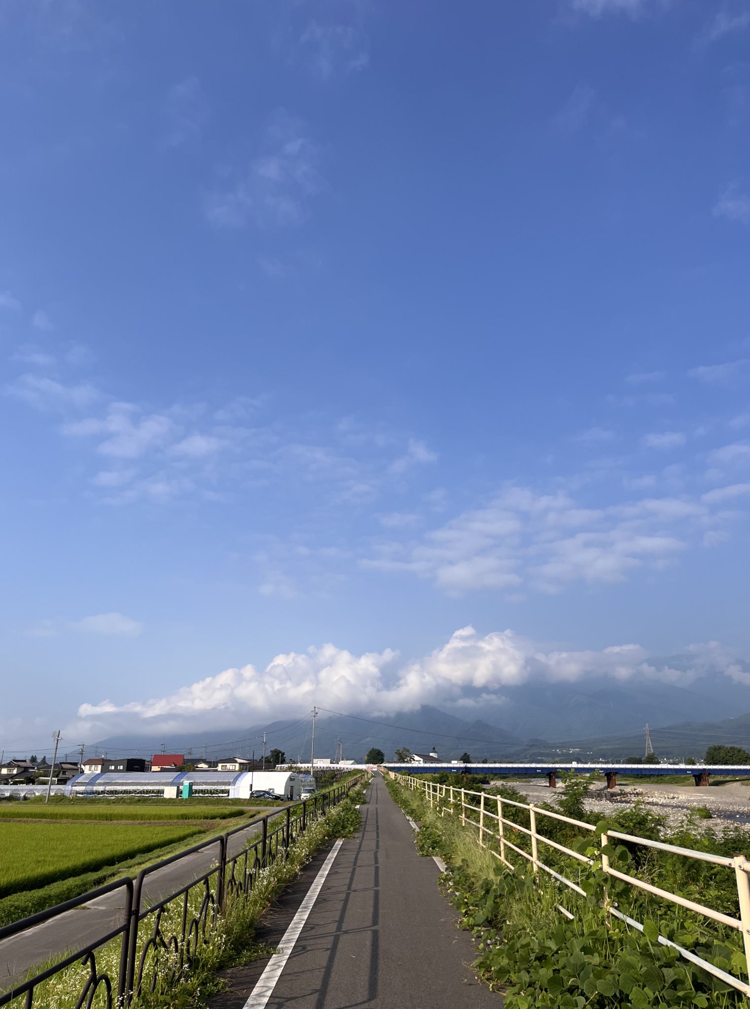 安曇野待春 桜のAACR 1300人が桜咲く安曇野を駆けた1日をレポート - 桜の