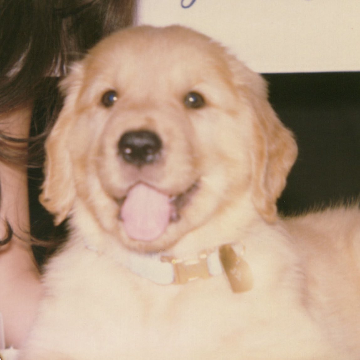 sabsugars's tweet image. first day at work vs last day at work