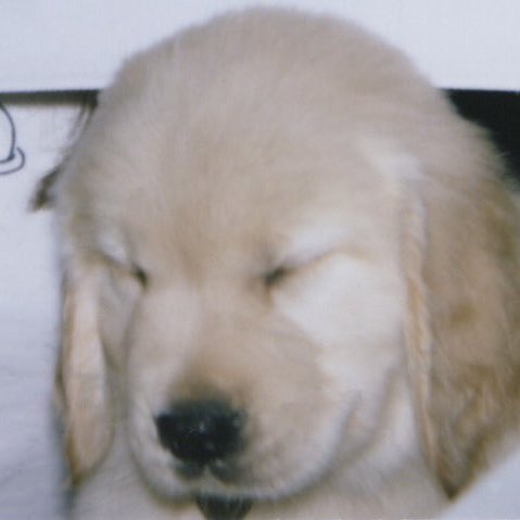 sabsugars's tweet image. first day at work vs last day at work