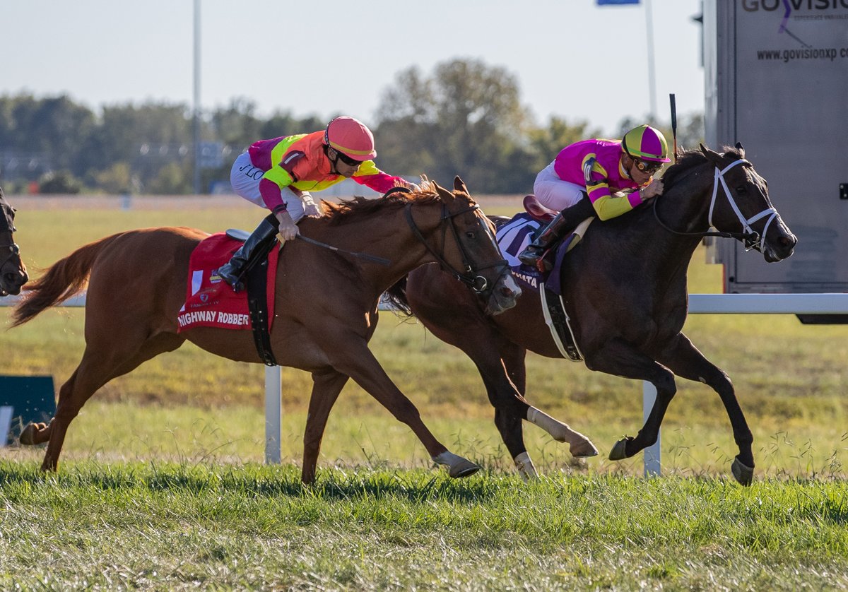 KYDownsRacing's tweet image. Just one month until racing returns to Kentucky Downs 🏇
Tickets are going fast! Get yours before they're gone: tinyurl.com/y3pm6kan
#KyDowns