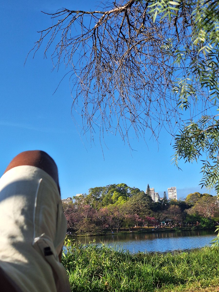 trixb3a2's tweet photo. Nunca mais viu fzr caminhada meu joelho tá doendo muitooooooo, mais olha q lindo. https://t.co/mLDjFMR1gR