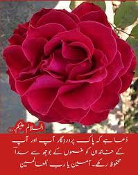 السلام علیکم ورحمتہ اللہ وبرکاتہ