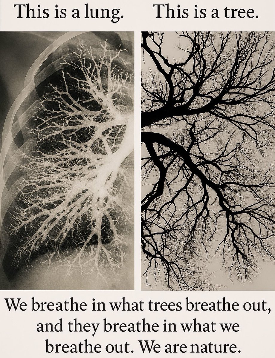 We are all connected, we are all God's creations.💫