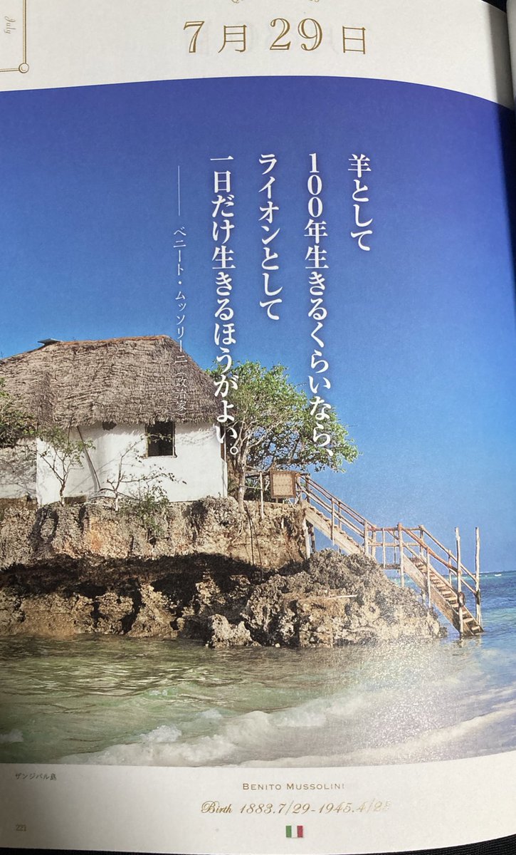 7.29（火）☀️

おはようございます🕺

今日は全員送料無料で対応します🙋‍♂️ 

🍊🍹キャンセル出たので残り7本🍯
【在庫処分SALE】
1本11000  3本10000🉐

そろそろ蝉しつこいな🙉
皆しっかり休息取って仕事するんやで👍

ライオンの一日は楽しそうやな🦁
みんなはどっち派？

生存確認いいね👍おはリプ🫶