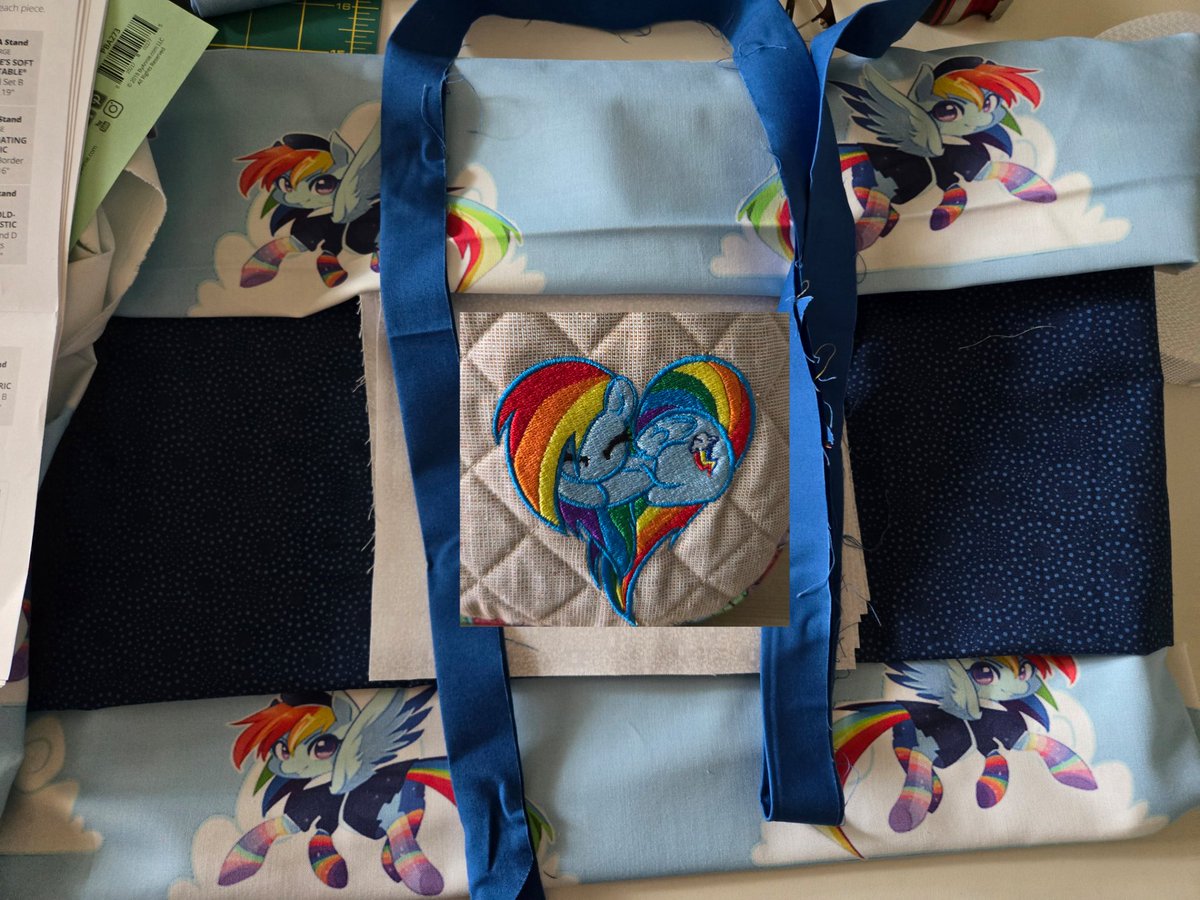 Rainbow Dash.

Gonna make a swag bag.