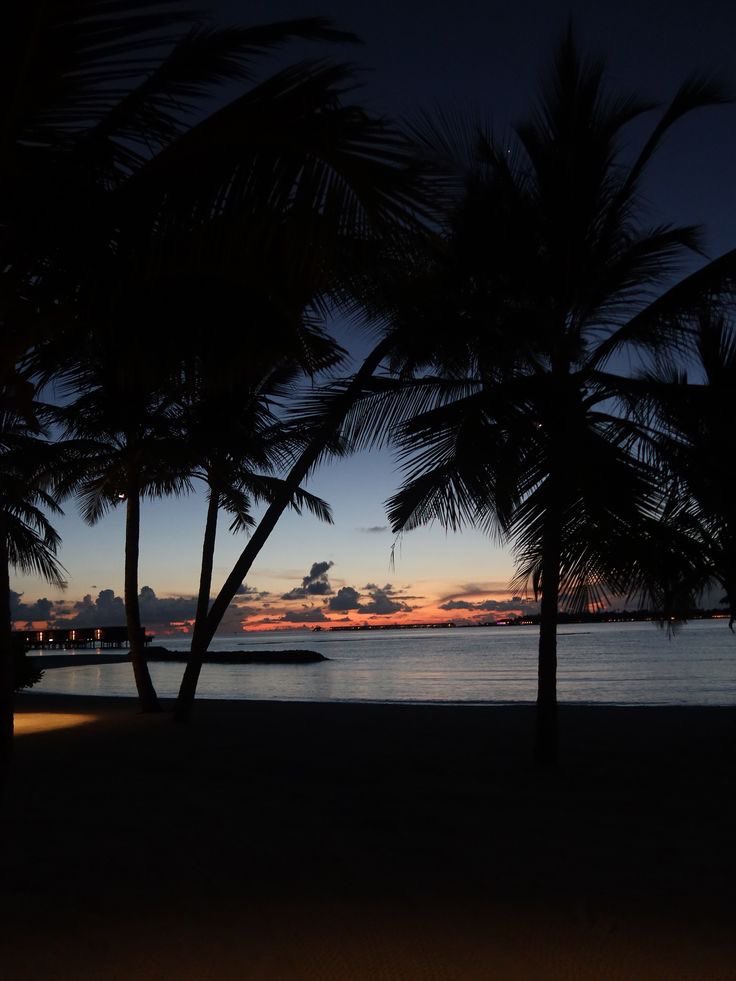 4Paris2_'s tweet image. 