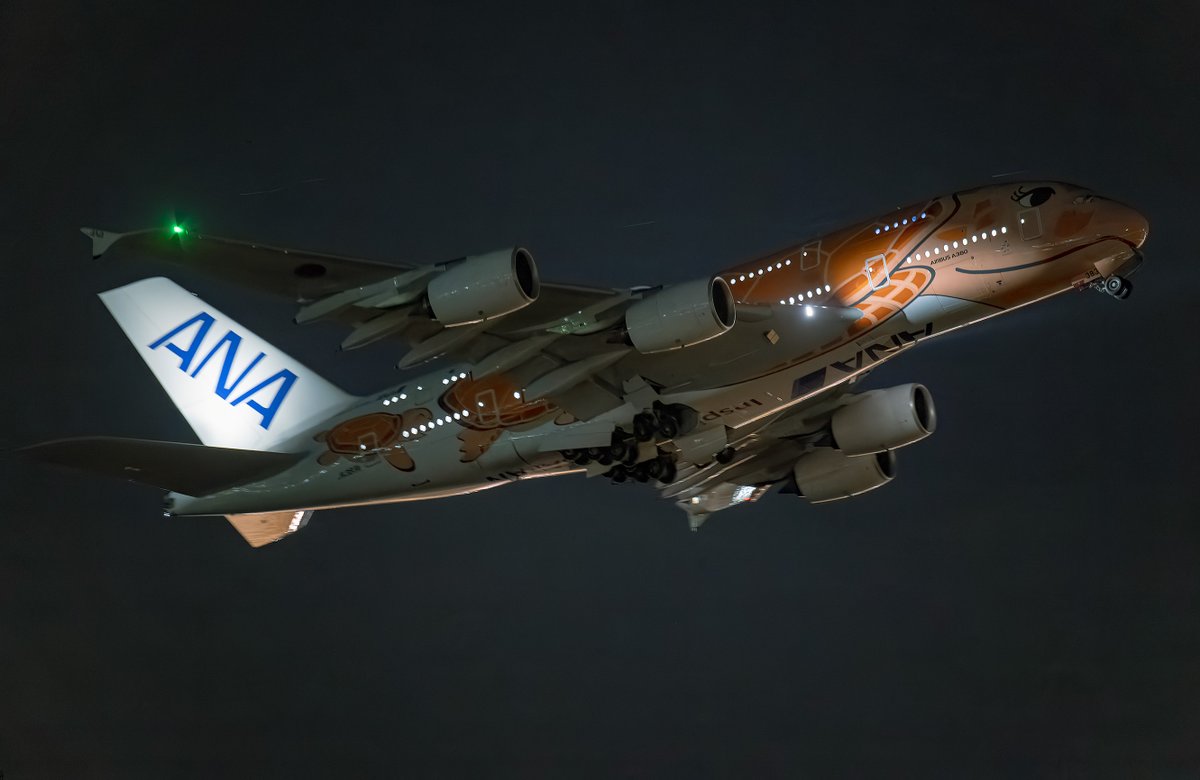 Wide view at Narita Night.