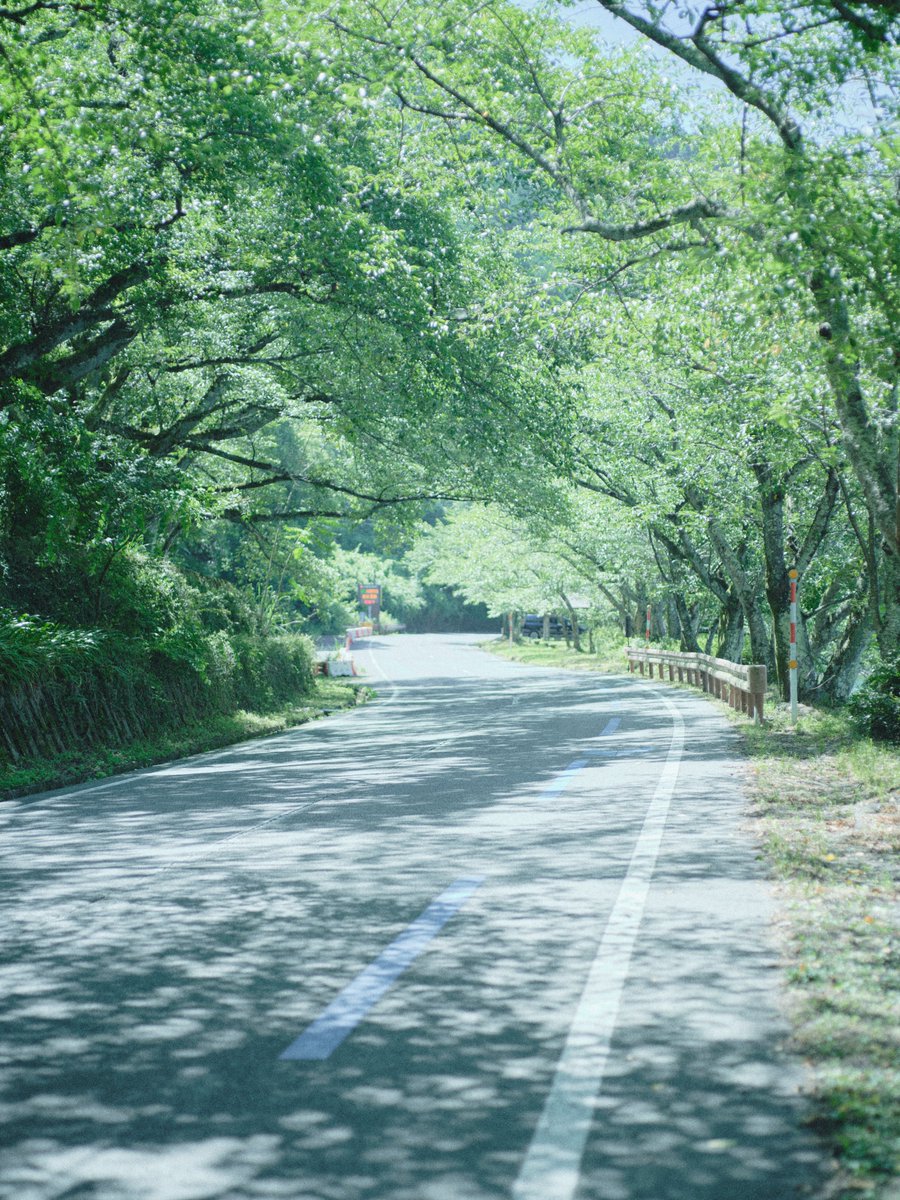 Kafkaonthe_'s tweet image. どこまで行こう