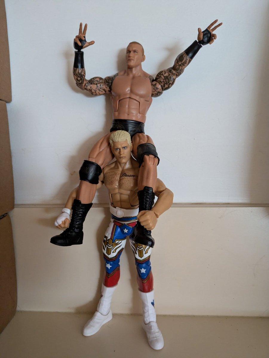 Fun with action figures!  <a href="/CodyRhodes/">Cody Rhodes</a> <a href="/RandyOrton/">Randy Orton</a>