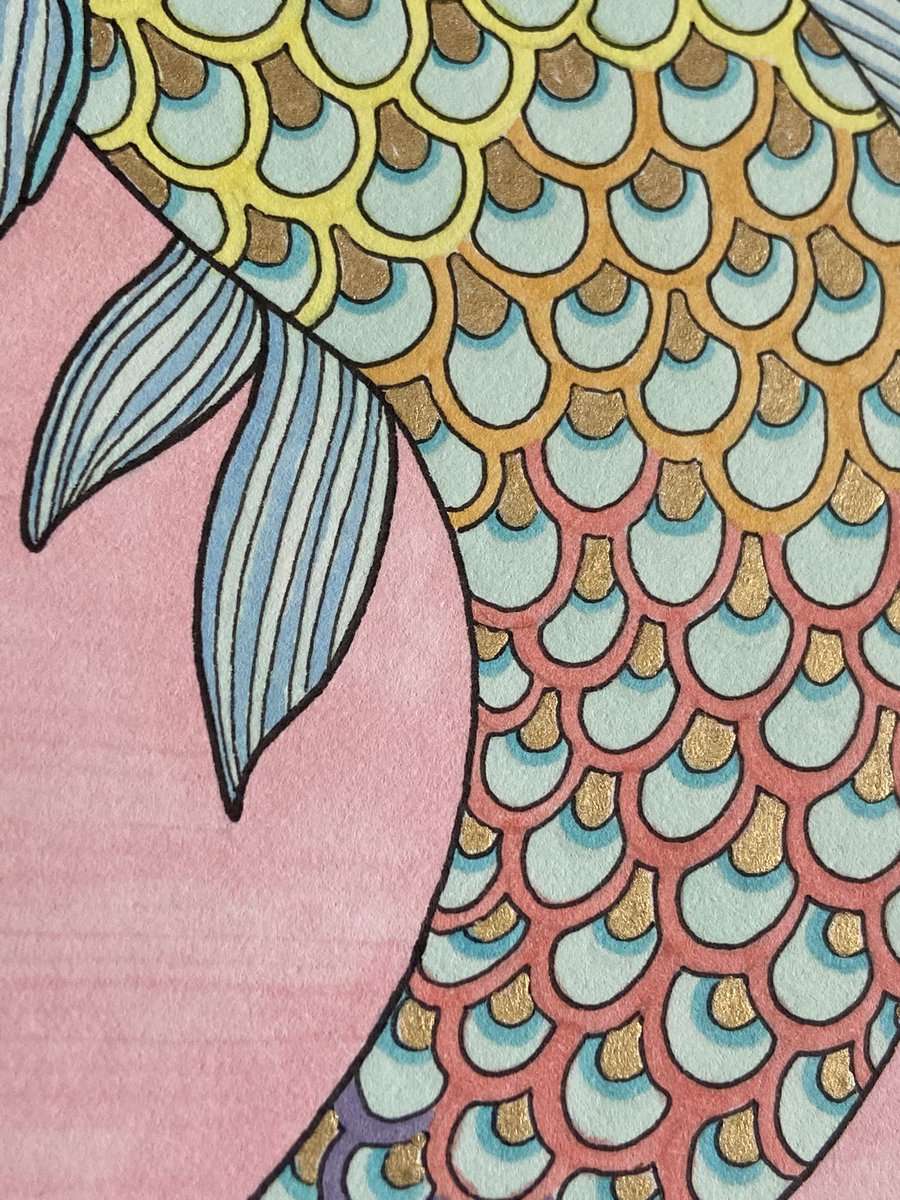 noxiouuk's tweet photo. Opal Koi 

#art #arttwt #traditionalart #inkandpen #noxart #koi #koifish #koiart #illustration #bubbles #pastel #fish #fishart #fyp #opal #cute #kawaii #iridescent https://t.co/nqlei1xQgB