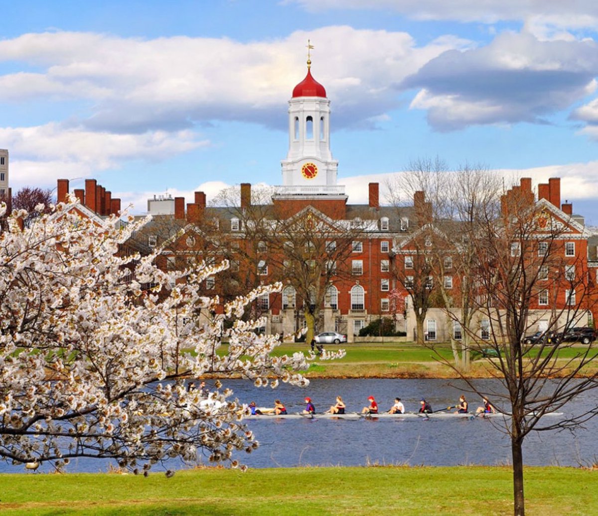BREAKING 🚨 Harvard reportedly wants to settle with the Trump administration for $500,000,000

‘We The People’ want a REFUND from Harvard

THIS IS A MASSIVE WIN 🔥