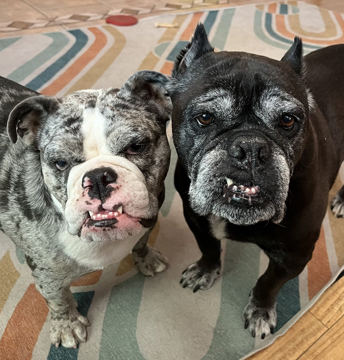 Let me see those big beautiful smiles!