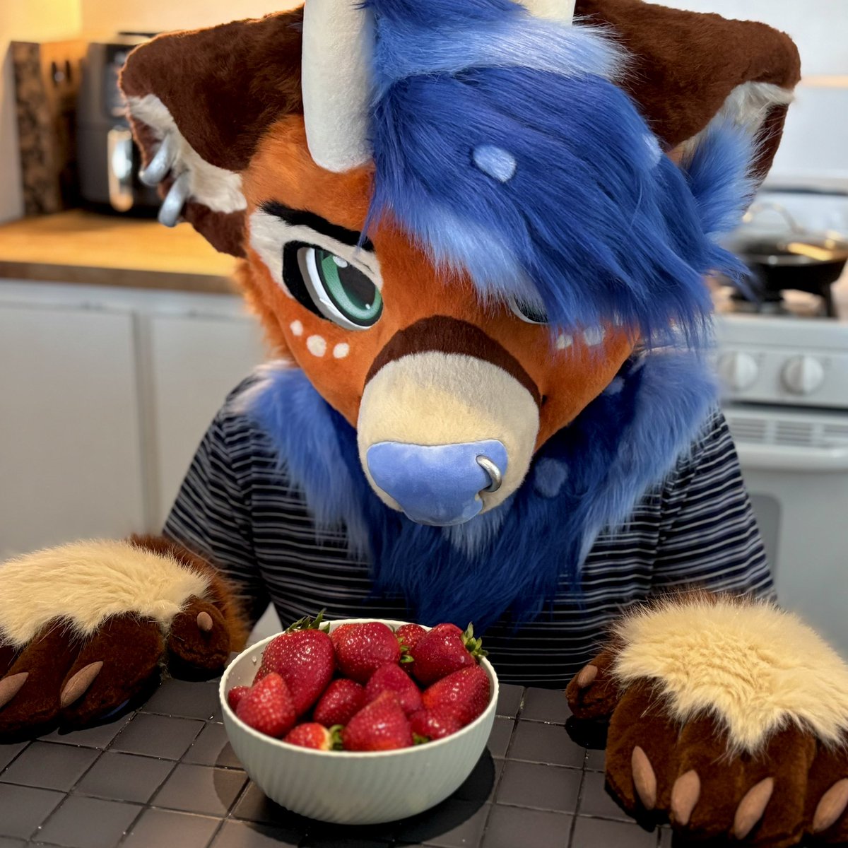 Deer dinner... 🍓