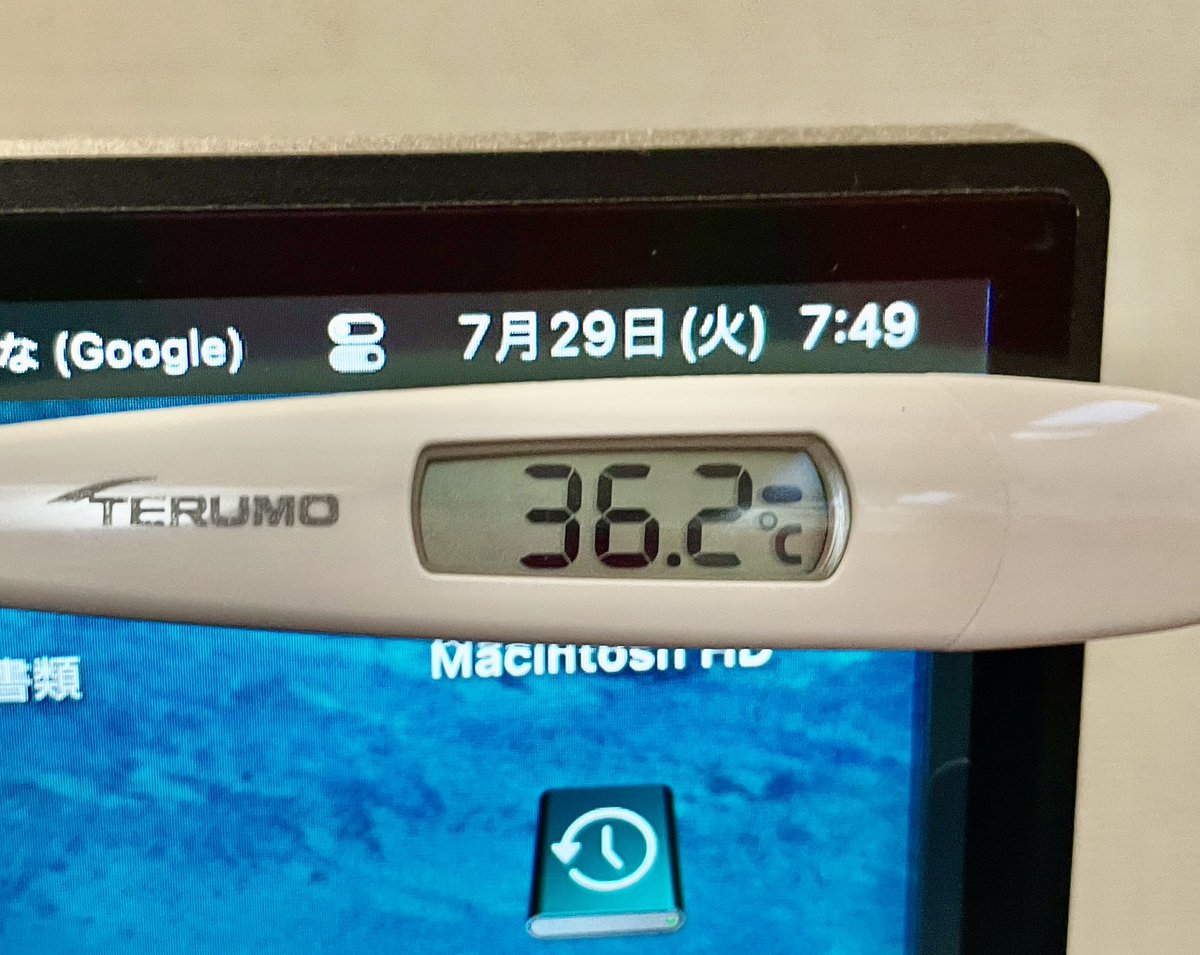 toru_master2's tweet image. みんなおはよう!今日もブイブイで!・・・朝日がギーン、セミがミーン(笑)本日も暑い1日。体調管理に気をつけて、でも愉快に過ごそう!東京は快晴。体温36.2。