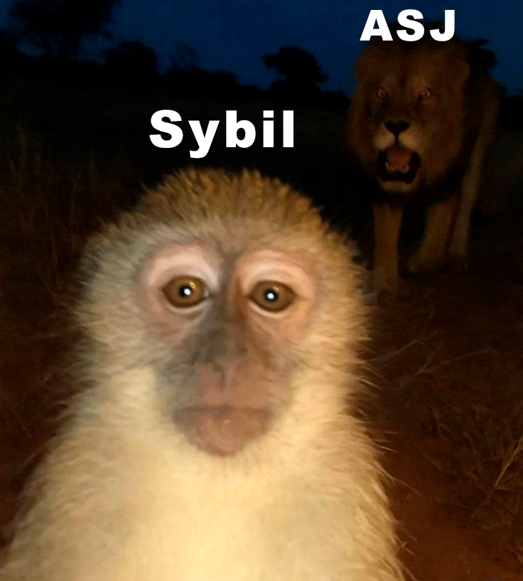 kocer_eth's tweet image. Meme about sibyls and @thekerukeion

@anoma