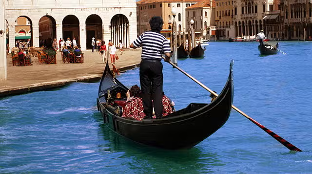 Titmousie2's tweet image. Mom is as deaf as a pot-
I just reminded her tomorrow I'm going to the dentist and she blurted out-
You're going to Venice?
🤣so close!
