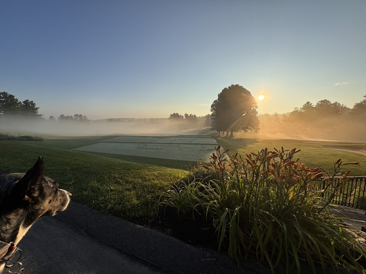 TJohnston tweet media