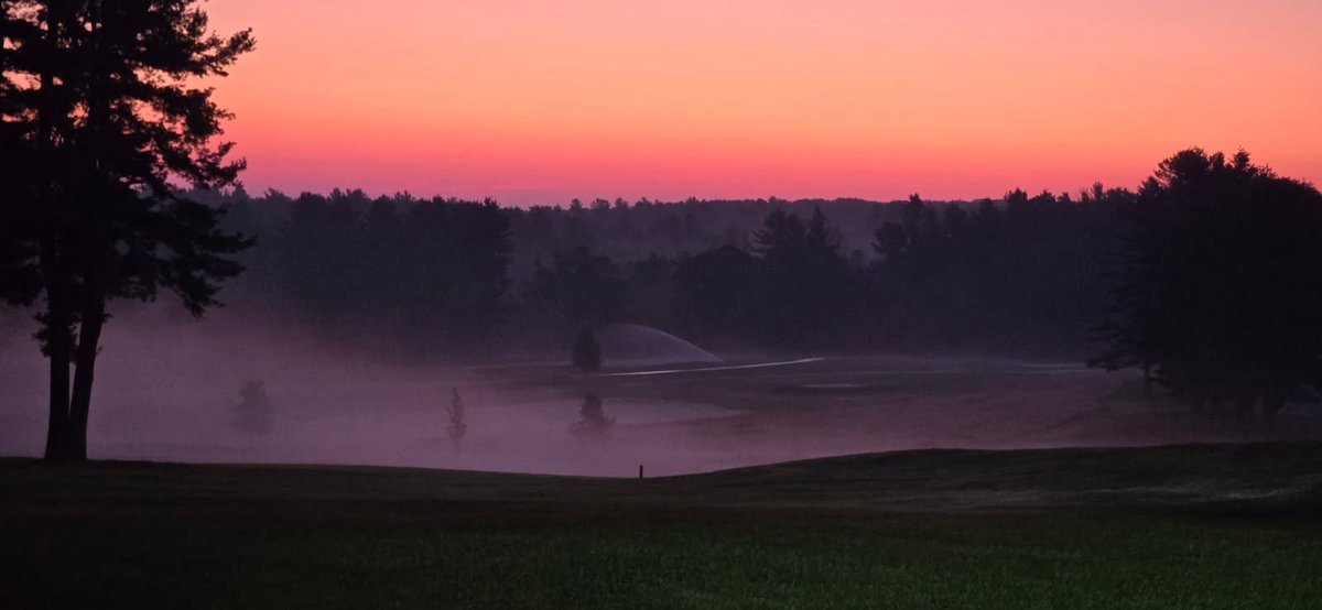 TJohnston tweet media